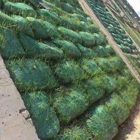 植生袋 草籽生态袋 护坡生态袋 生态袋挡土墙  园林绿化土工布袋  路易达生产定做各种规格尺寸图片