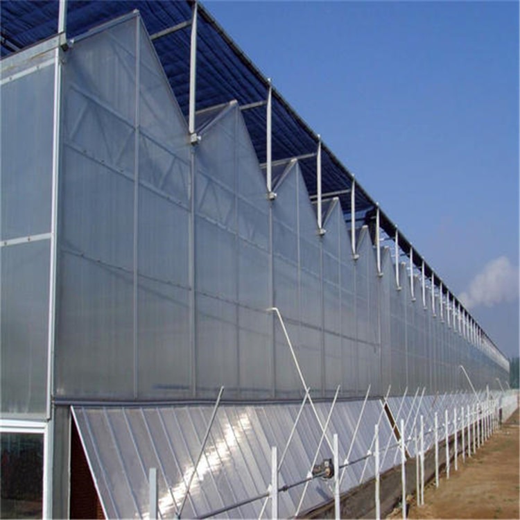 湖北玻璃温室大棚 江西文洛型温室旭航温室大棚企业