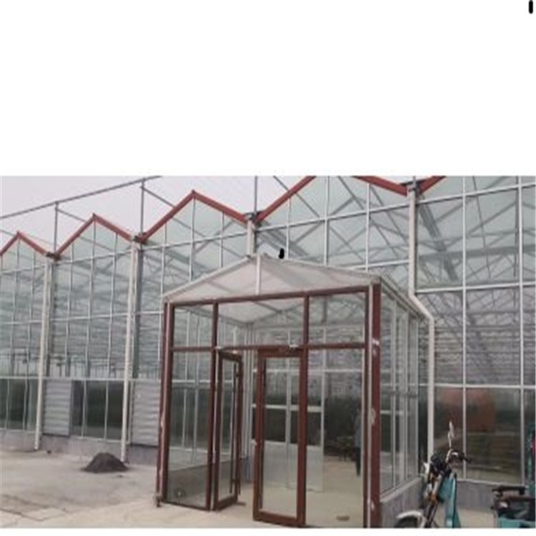 荆州蔬菜大棚造价每亩 旭航连栋玻璃温室价格 玻璃连栋大棚加工销售