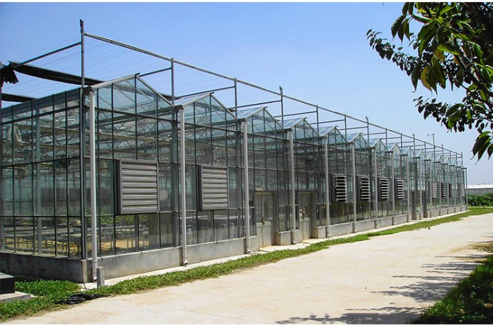 建源温室工程建造简单玻璃温室大棚花卉蔬菜观光大棚