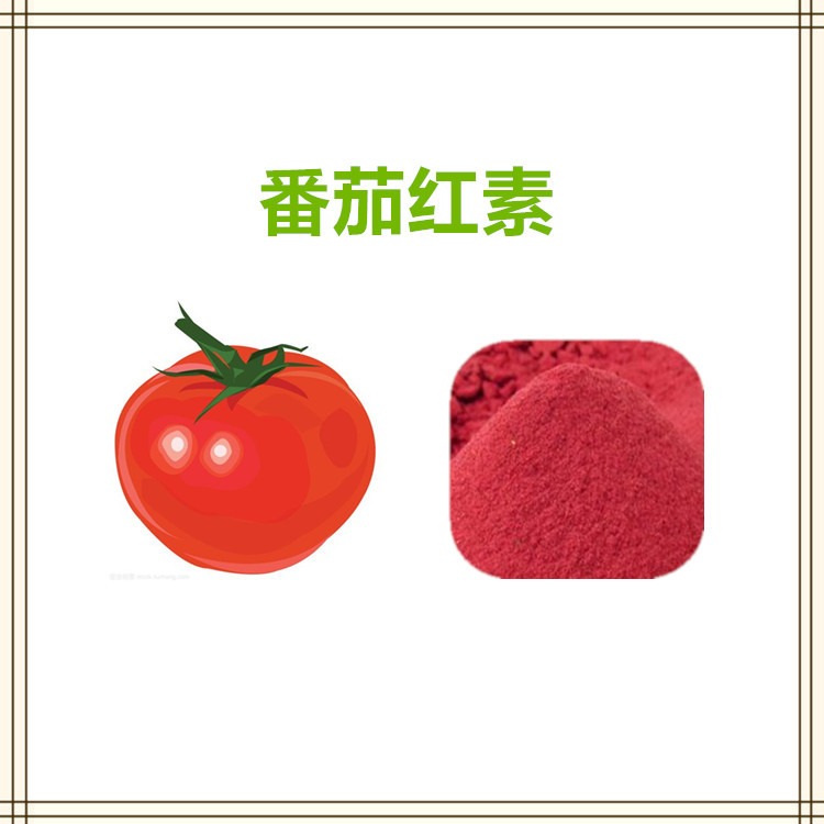 番茄红素 萃取粉 提取物 浸膏 益生祥生物 食品级原料