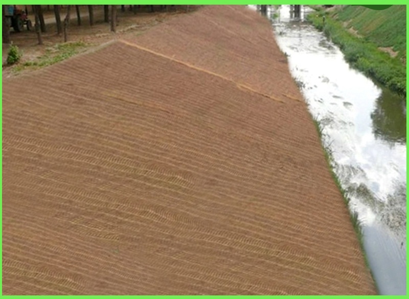 众汇植被恢复绿化椰丝生物毯护坡