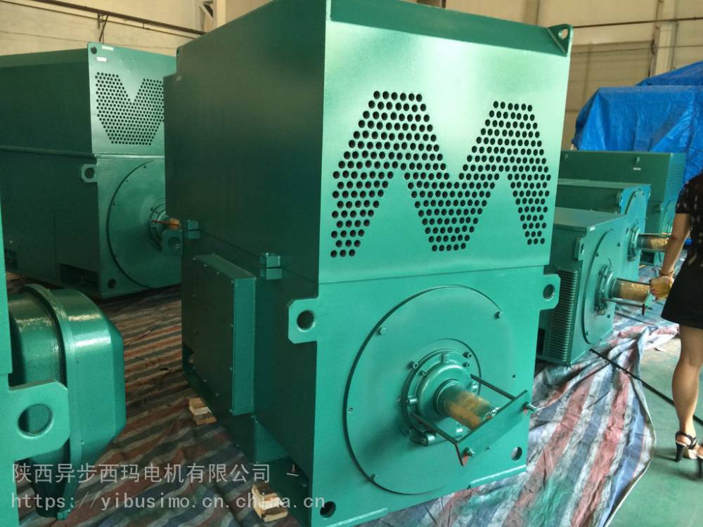 西安西玛电机集团Y5006-10/400KW/10KV立式安装高压电机原厂保证