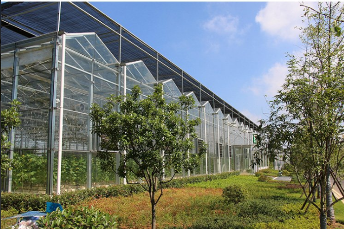 钢管大棚 蔬菜大棚批发建造简单玻璃温室大棚适合多种地区气候