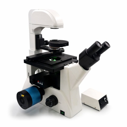 倒置荧光显微镜 LED荧光显微镜
