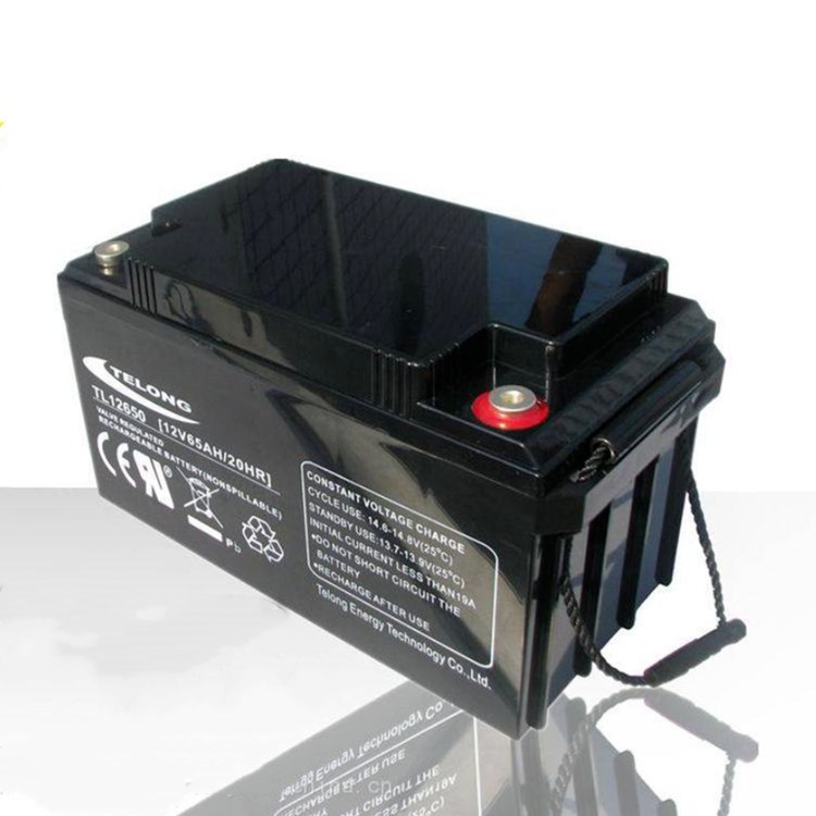 TELONG天龙蓄电池TL12650 12V65AH铅酸免维护UPS电源