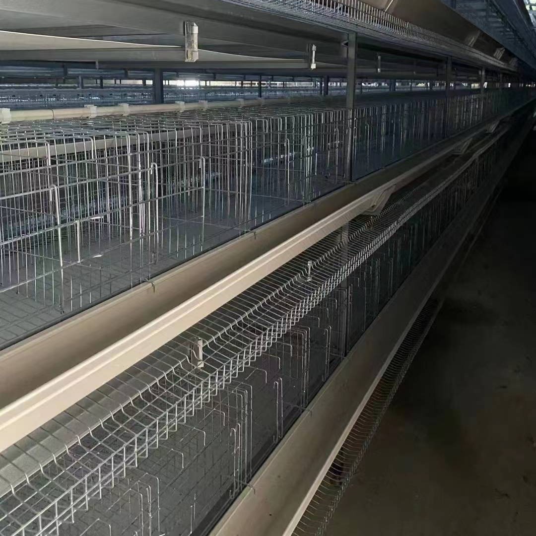鸡笼 厂家直销 层叠式 阶梯式 喂料机 清粪机 捡蛋机 各种智能化养鸡设备 来图定制 河南柏业