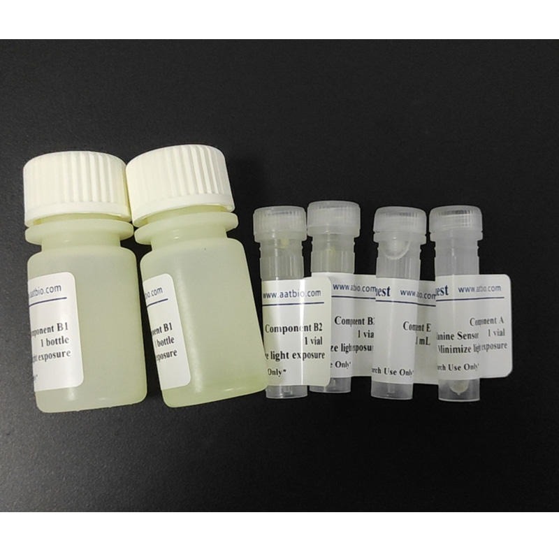 AAT Bioquest  Amplite 荧光总核酸定量试剂盒 货号17630