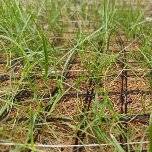 生态护坡环保草毯一种矿山废弃地复绿方法 带草籽pp网植生毯 椰丝毯 矿山复绿植被毯