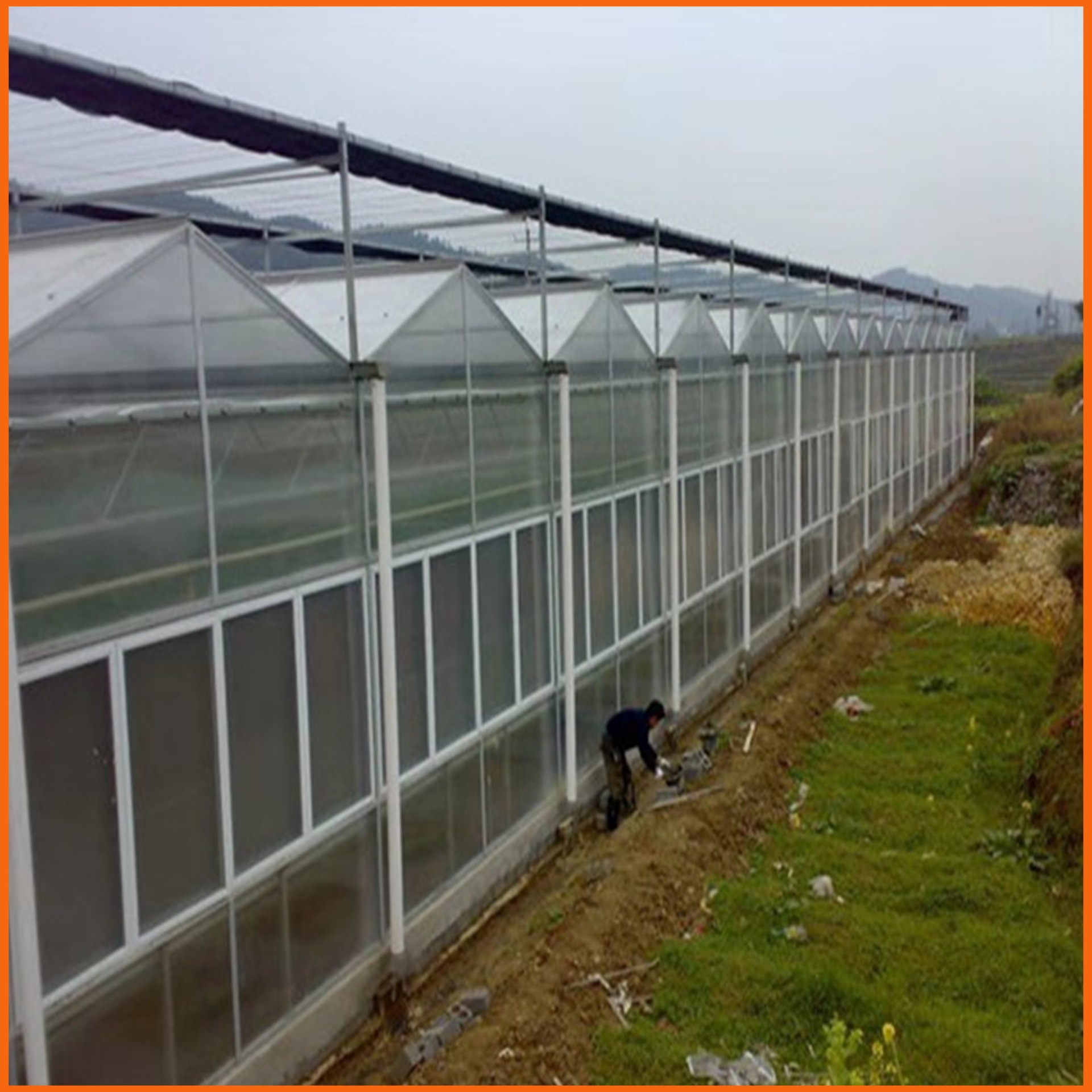 温州透明阳光板 12毫米PC阳光板 蔬菜种植大棚阳光板