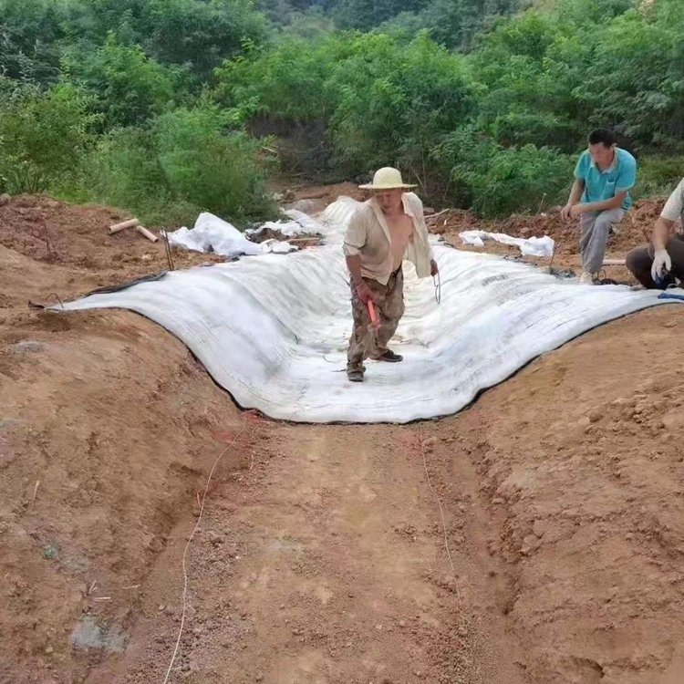 工程水泥毯 河道 水渠防护水泥毯 防渗护坡硬化水泥毯厂家图片