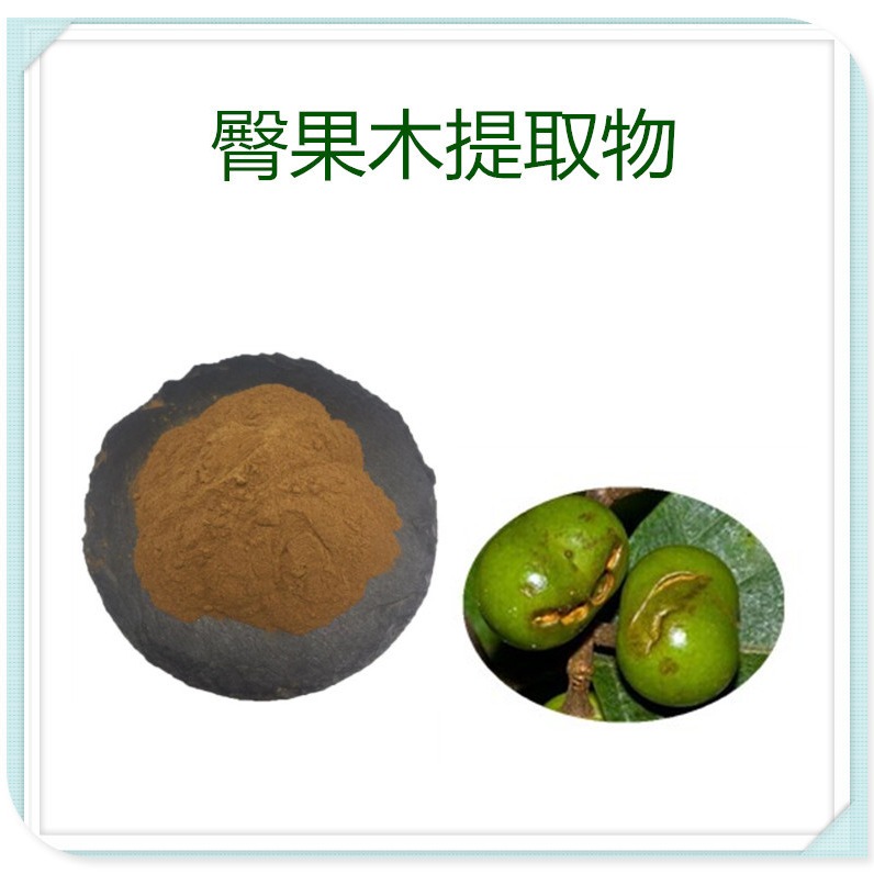 臀果木提取物10:1 速溶粉 水溶性 浸膏 食品级原料 沃特莱斯生物
