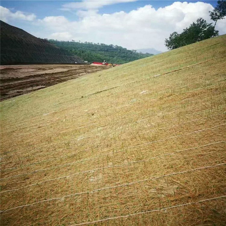 植物纤维毯 河道水生态治理 植物纤维毯 植草毯护坡 环保椰丝毯图片