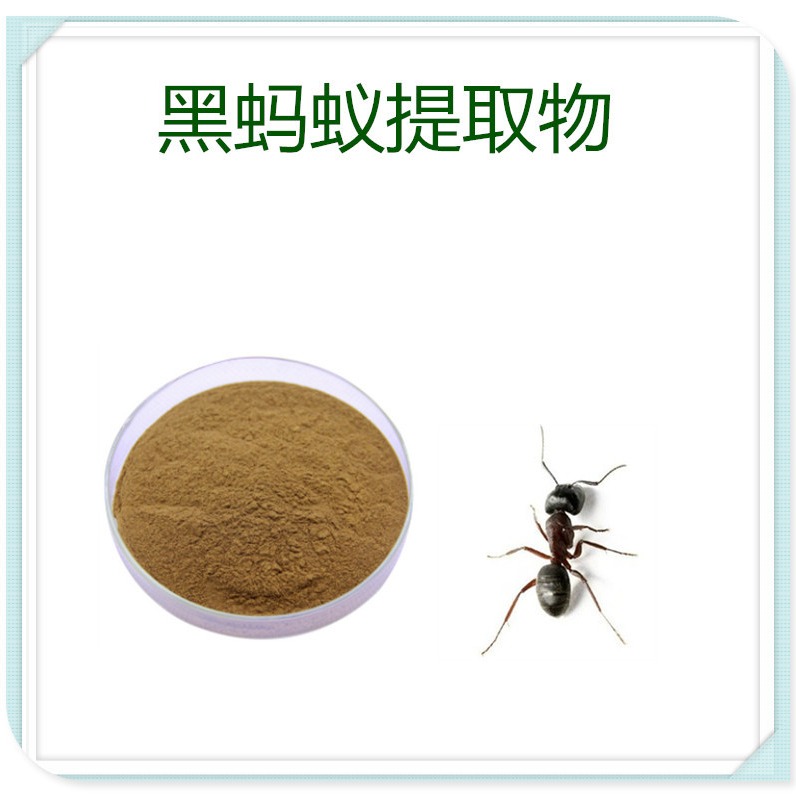 黑蚂蚁提取物10:1 速溶粉 浸膏 多肽 多规格 沃特莱斯生物图片
