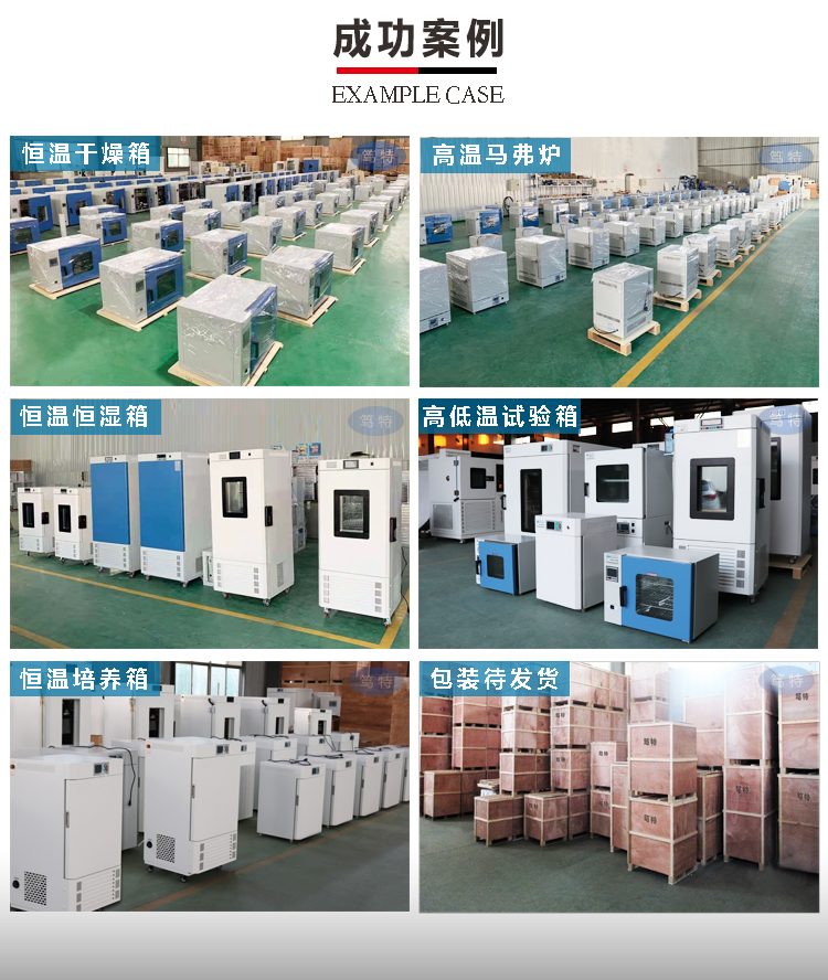 上海笃特GWH-9030A高温鼓风干燥箱工业小型高温烘箱400度干燥箱示例图11