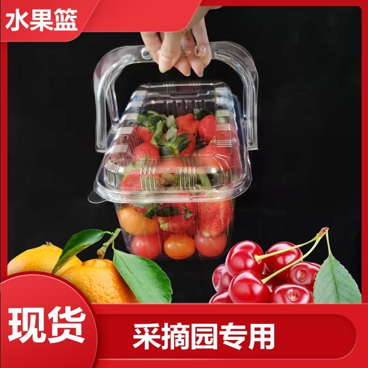 一次性水果篮 手提带盖水果篮 水果生鲜礼品包装盒 糖果干果礼品盒 支持定制定做图片