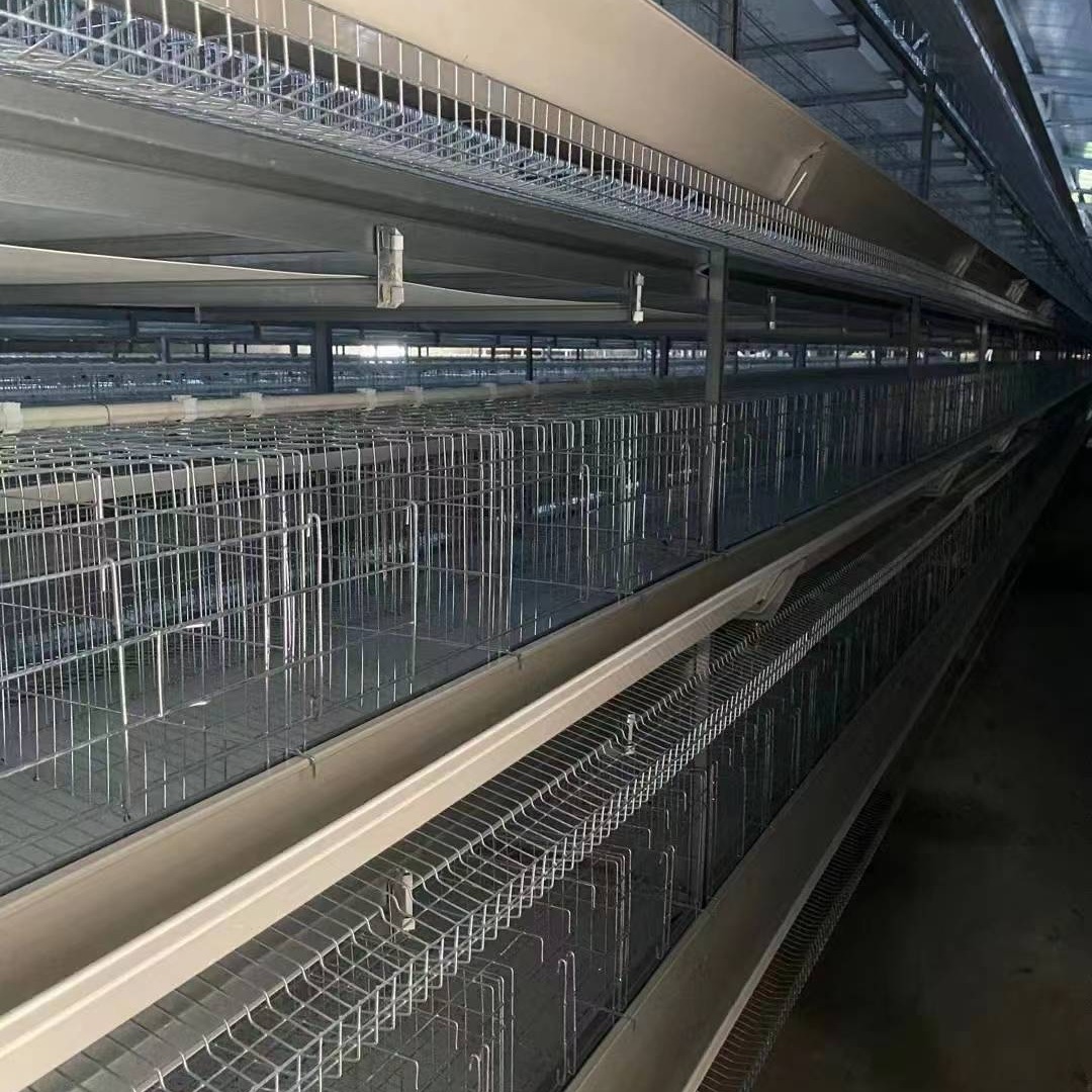 养鸡设备 厂家直销195*45*41 阶梯式 层叠式 自动化清粪机 喂料机 捡蛋机 各种尺寸鸡笼清粪机捡蛋机喂料机配件