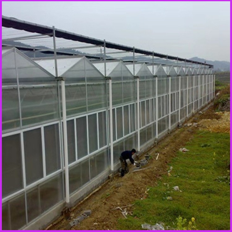 孝感透明中空阳光板 10毫米双层阳光板 农业温室大棚PC阳光板厂家