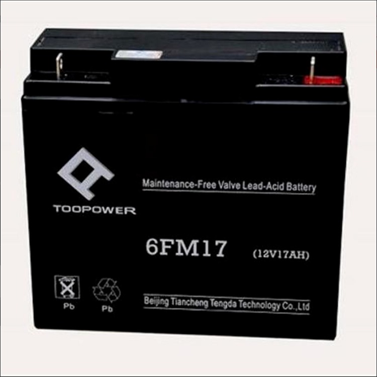 天力蓄电池12V50AH 天力6FM50密封式铅酸蓄电池