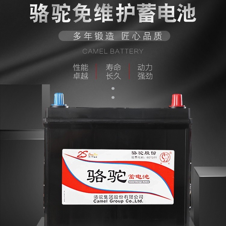 骆驼蓄电池55D26铅酸免维护汽车启动蓄电池12V60AH适配车型北京现代系列、本田、丰田、日产蓝鸟、阁瑞斯、长城皮卡等图片