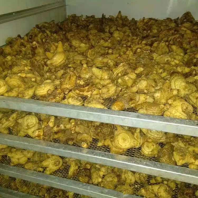 豆角脱水干燥机 鸡枞菌烘干机 鸿宇机械 多层箱式栝楼子干燥机 生产厂家