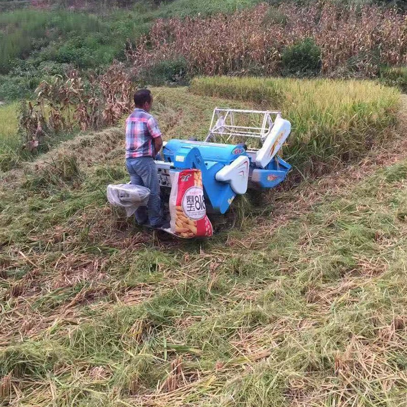 座驾式水稻联合收割机 小地块作业用水稻收割机 履带式稻子收割脱粒装袋机