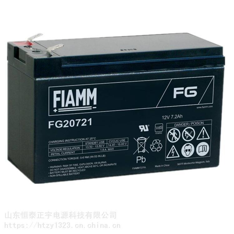 FIAMM非凡蓄电池FG20721 12V7.2AH