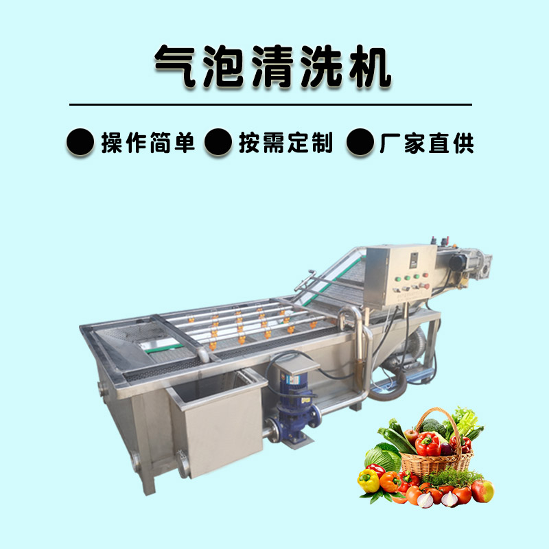 果蔬清洗机 小型洗药材机器 多功能蔬菜清洗机 中科德晟 ZK-203