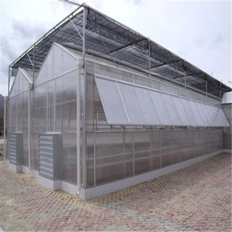 广西纹洛型温室大棚 密闭钢结构大棚 旭航温室建设大棚