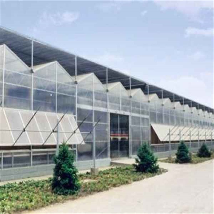 阳光板养殖大棚造价 欧式全玻璃温室制造  旭航