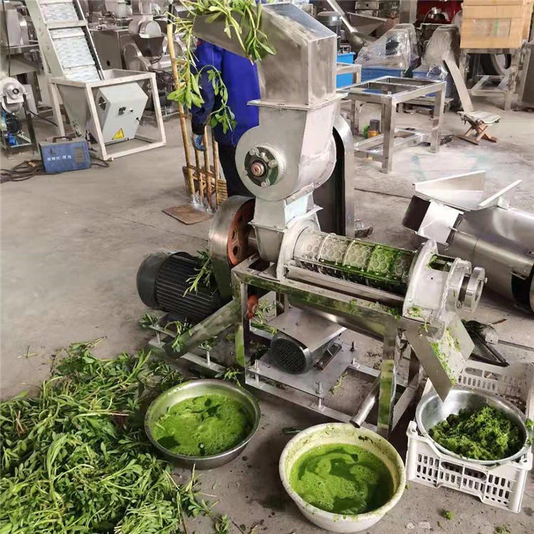 大型玫瑰花瓣榨汁机 不锈钢工厂用橄榄榨汁机 油甘果工业榨汁机 厂家图片