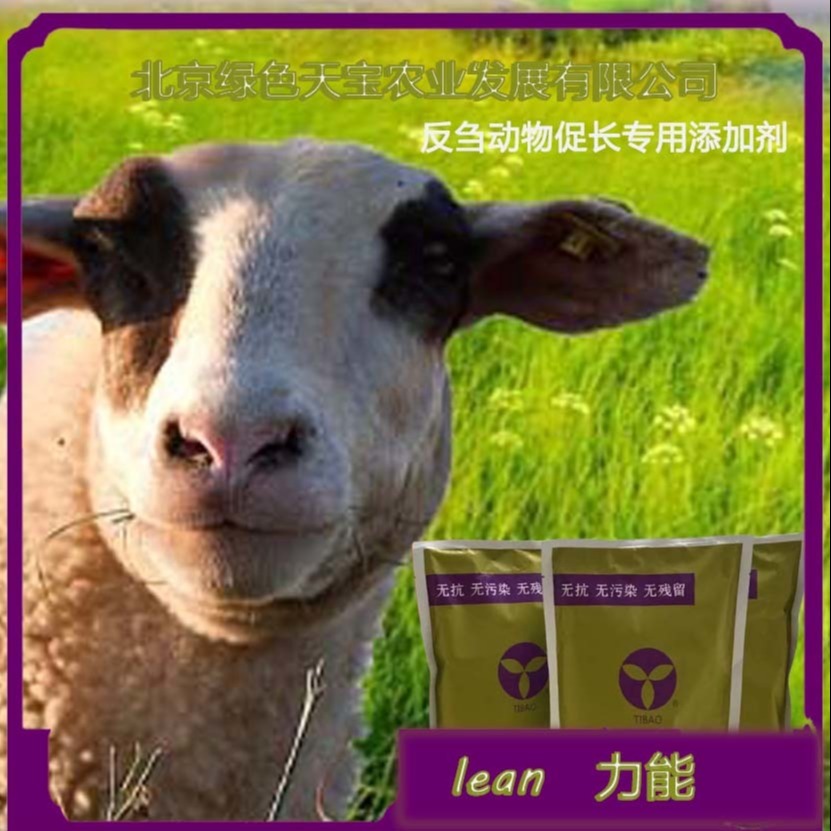 牛出栏时被砍价 牛太肥出肉率太低则么办 北京绿色天宝 包膜胍基乙酸 过得去 瘤胃  去油增重 多长瘦肉