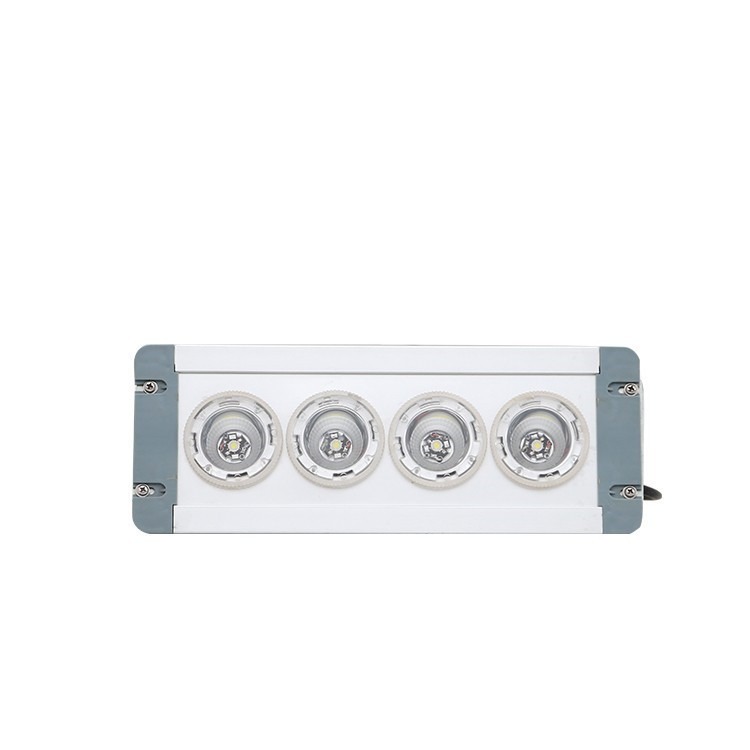 NFC9121LED固态免维护应急二合一照明灯 NFE9121低顶灯 配电房嵌入式地沟灯