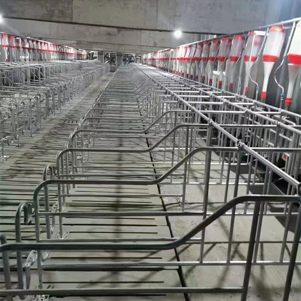 世昌畜牧供应 养殖场设备 限位栏母猪料线 015