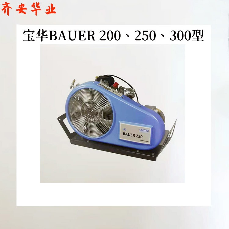 BAUER TE 系列BAUER 200空气压缩机配件供应油水分离滤芯图片