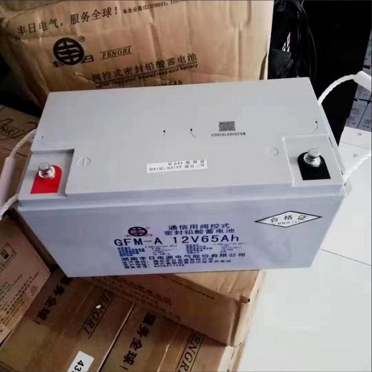 湖南丰日蓄电池GFM-A12V65AH通信用阀控密封铅酸蓄电池图片
