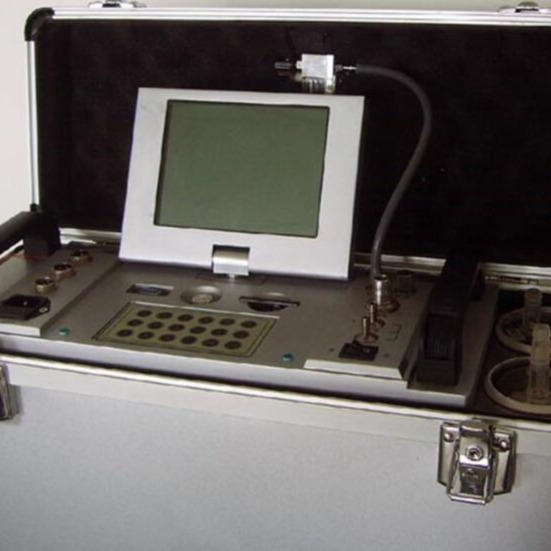 自动烟尘烟气分析仪 型号:WT100-TH-880F库号：M290368