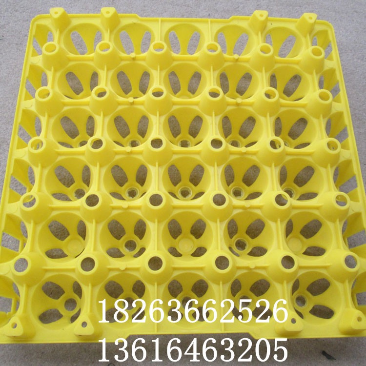 塑料鸡蛋托 30枚塑料蛋盘 加厚塑料蛋托加工定制