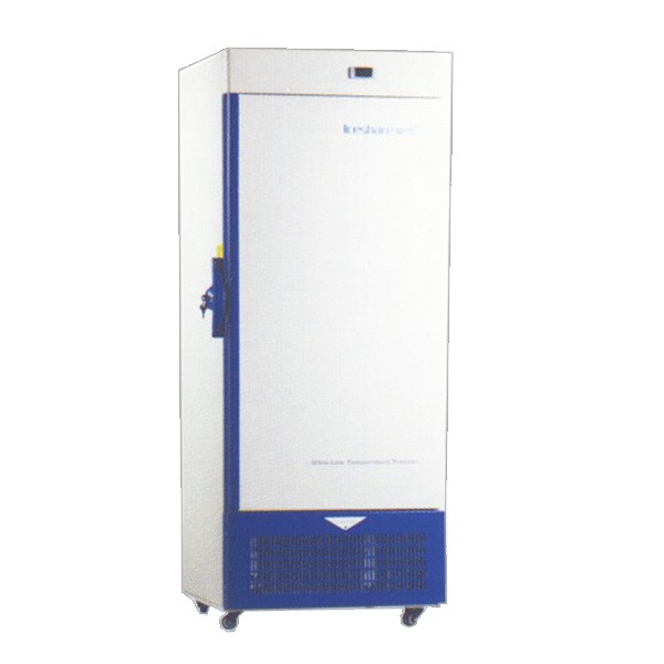 270升爱雪DW-30L270型冰柜    成都   大容量商用超低温冷冻柜机器压缩机制冷   价格