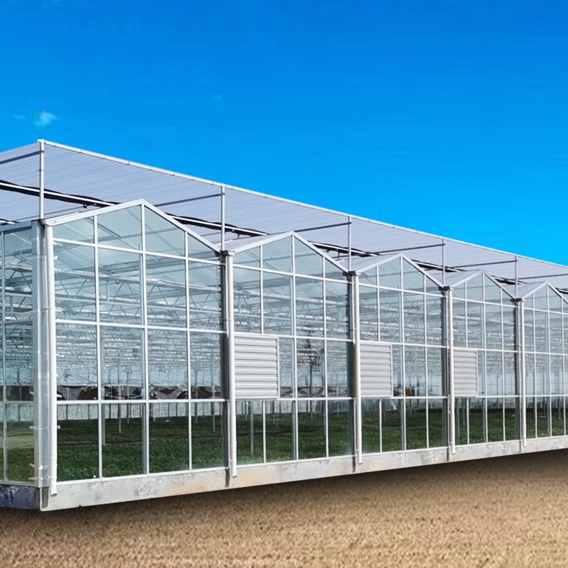 舜禹农业温室 玻璃大棚 玻璃连栋大棚 日光玻璃大棚 钢结构大棚