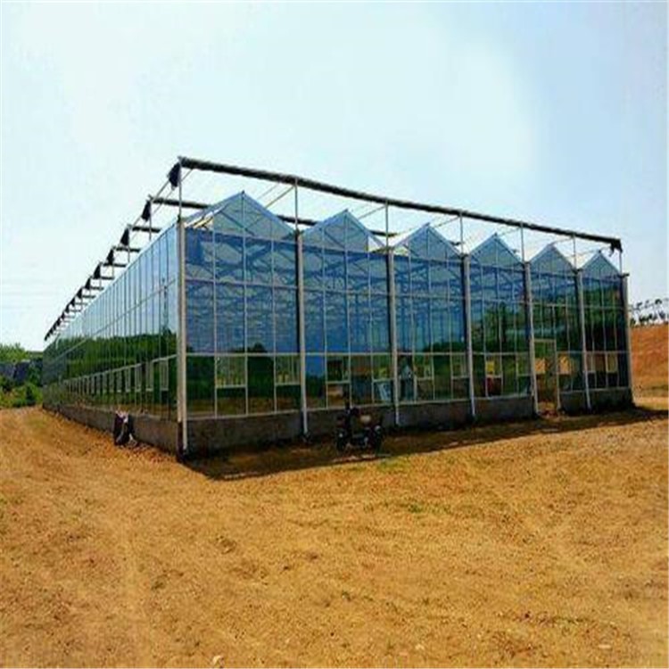 新型日光温室的设计 半开式玻璃智能温室 旭航温室大棚企业