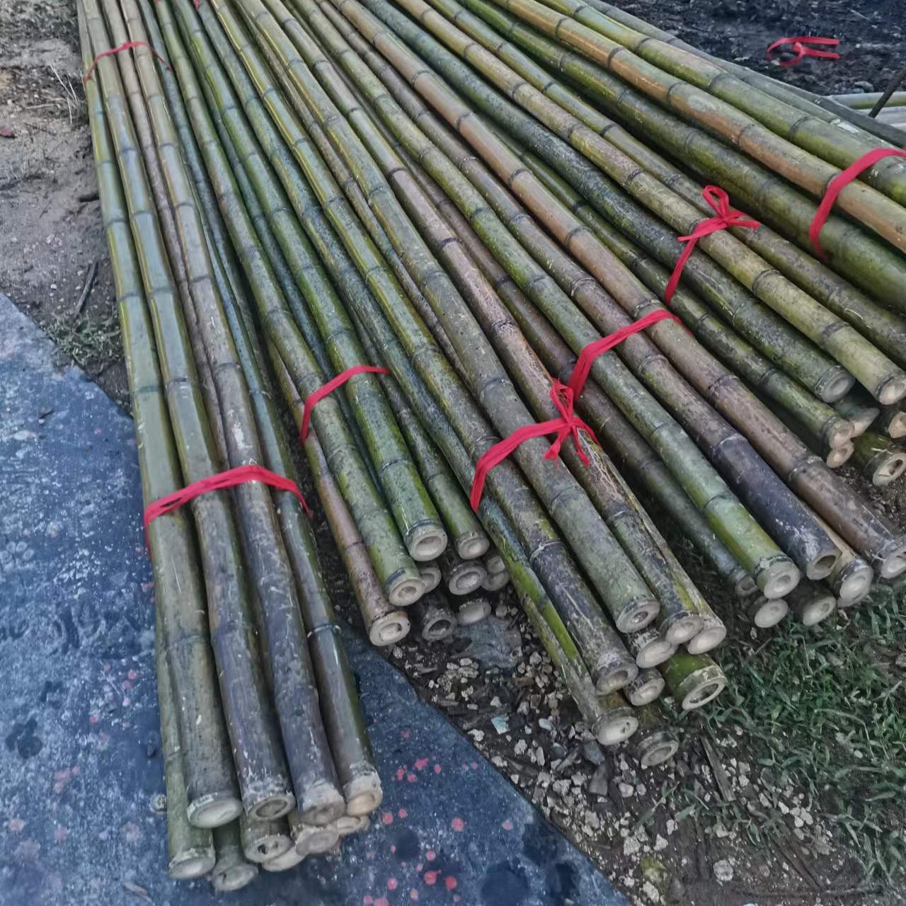 1.2米竹竿子释迦果树塑形用竹子长短粗细可定制图片
