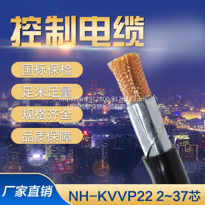 耐火电缆  耐火控制电缆NH-KVVP 6*1.5图片