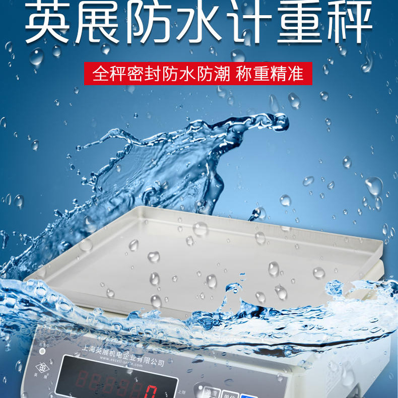 英展防水称，防水电子称，XK3150(PH)防水电子秤，9903型电子称