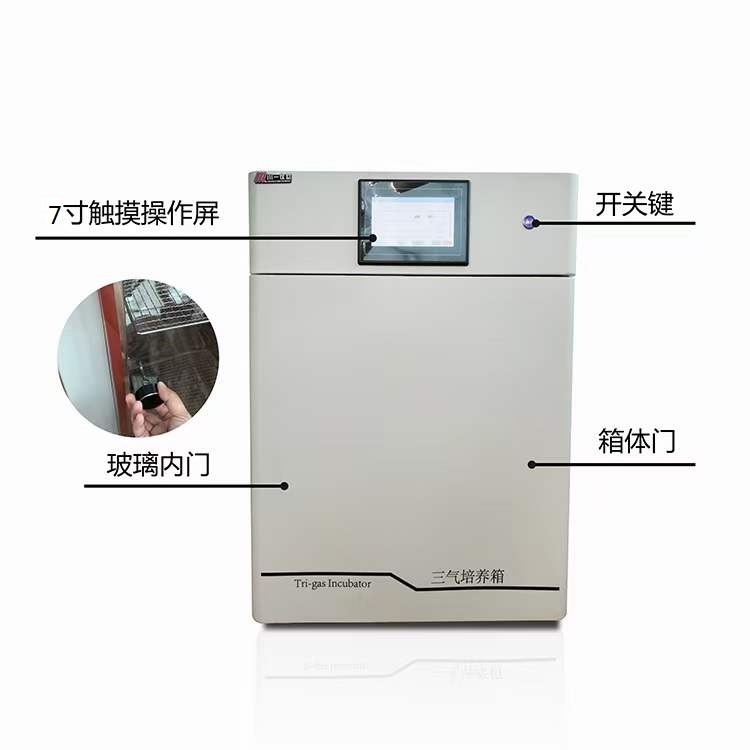 三气培养箱CYSQ-30-III 小容量多气体混合箱 细胞控温箱图片