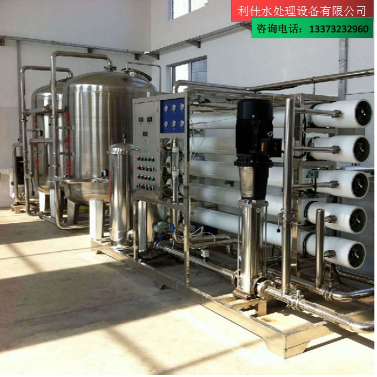 厂家供应 反渗透水设备 净水处理设备 利佳EDI高纯水设备图片