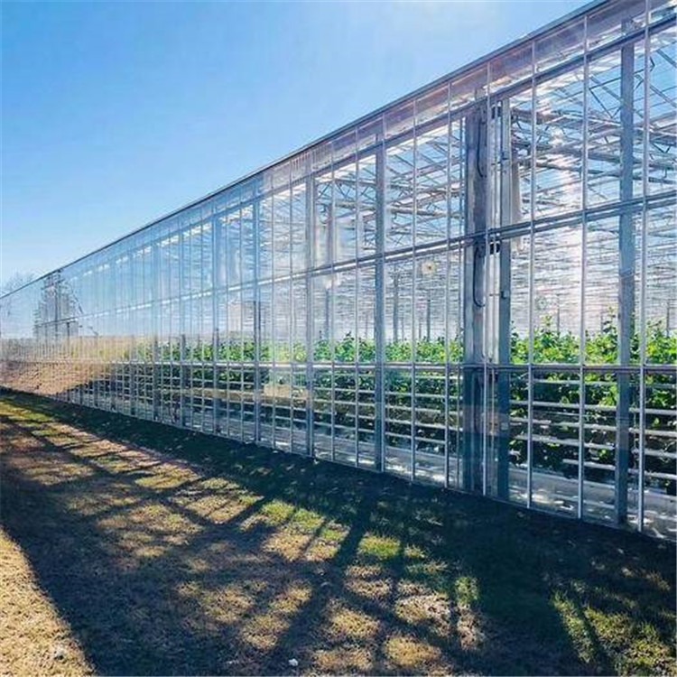 大型温室玻璃房 智能蔬菜大棚施工单位 旭航图片