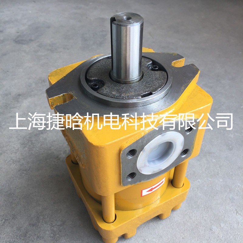 NT PUMP  NT3-D25F 上海内啮合齿轮泵 液压泵库存销售