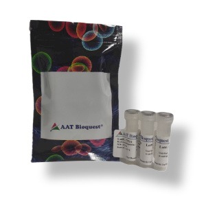 AAT Bioquest  荧光素-dT亚磷酰胺 货号6200图片
