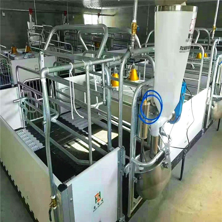全自动化料线 自动供料设备 猪哈哈按需定制 自动上料系统 设计安装